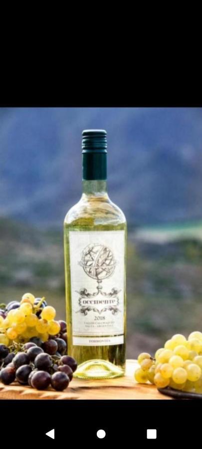Cabana Abra Del Monte Monohambiente Cachi Ngoại thất bức ảnh
